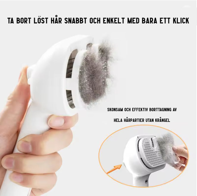 Ångborsten
