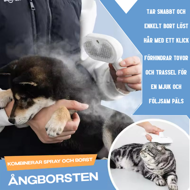Ångborsten