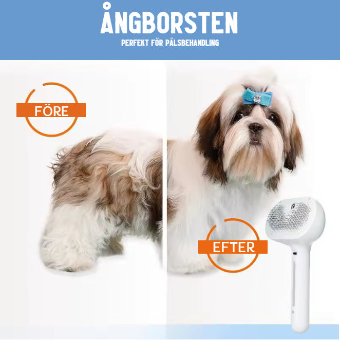 Ångborsten