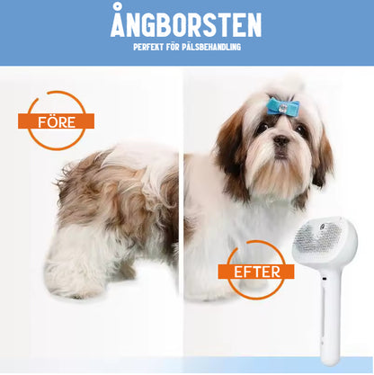 Ångborsten